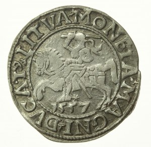 Sigismund II Augustus, Half-penny 1557, Vilnius, LI / LITVA (772)