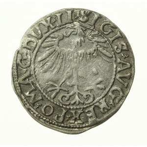 Sigismond II Auguste, demi-penny 1557, Vilnius, LI / LITVA (772)