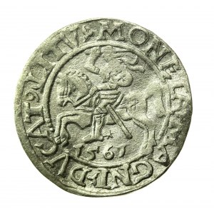 Sigismund II. Augustus, Halbpfennig 1561, Wilna - L/LITV (773)