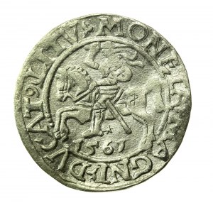 Sigismondo II Augusto, mezzo penny 1561, Vilnius - L/LITV (773)
