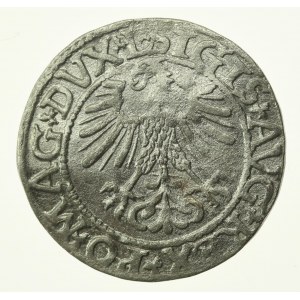 Sigismund II Augustus, Half-penny 1561, Vilnius - L/LITV (773)