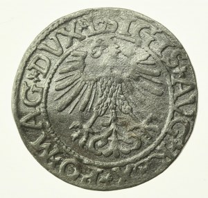 Zygmunt II August, Półgrosz 1561, Wilno - L/LITV (773)