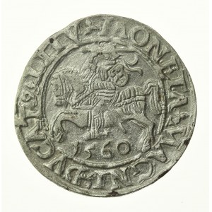 Zikmund II Augustus, půlgroš 1560, Vilnius - L/LITV (774)