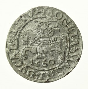 Sigismund II Augustus, Half-penny 1560, Vilnius - L/LITV (774)