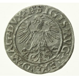 Sigismund II Augustus, Half-penny 1560, Vilnius - L/LITV (774)