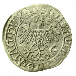 Sigismund II Augustus, Half-penny 1558, Vilnius - LI/LITVA (775)