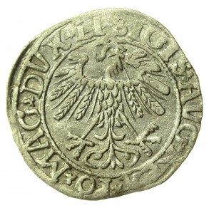 Sigismund II Augustus, Half-penny 1558, Vilnius - LI/LITVA (775)