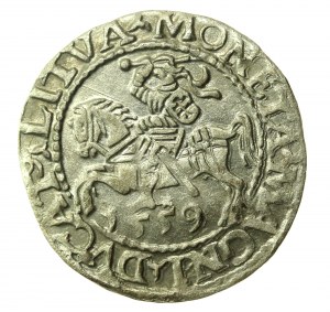 Sigismund II Augustus, Halbpfennig 1559, Wilna - LI/LITVA (776)