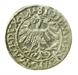 Sigismund II Augustus, Half-penny 1559, Vilnius - LI/LITVA (776)