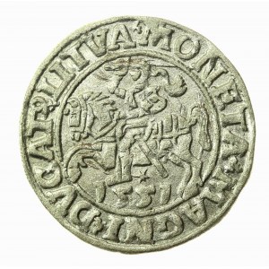 Sigismond II Auguste, demi-penny 1551, Vilnius - LI/LITVA (778)