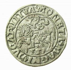 Sigismund II Augustus, Halbpfennig 1551, Wilna - LI/LITVA (778)