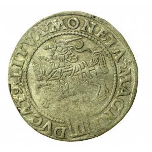 Sigismund II Augustus, penny per Lithuanian foot 1559, Vilnius (779)