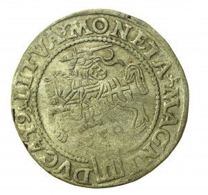 Sigismond II Auguste, pièce de monnaie lituanienne de 1559, Vilnius (779)