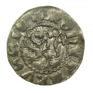 Ladislaus II Jagiello, Rus' Quarterly without date, Lvov (786)