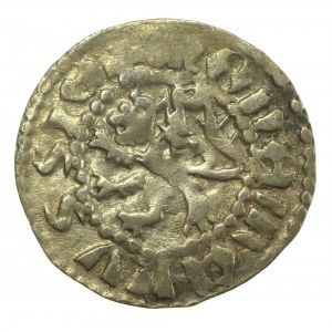 Ladislas II Jagiello, Trimestre Rus' sans date, Lvov (788)