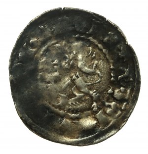 Casimir III le Grand, Trimestre Rus' sans date, Lvov (789)