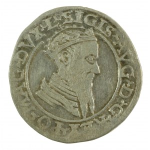 Zygmunt II August, czworak 1568, Wilno, L/LITVA (800)
