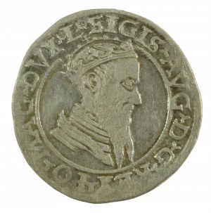 Zikmund II Augustus, čtyřúhelník 1568, Vilnius, L/LITVA (800)