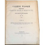 MUZEUM SZTUKI EUROPEJSKIEJ. Serya druga. GALERYE WŁOSKIE t.II wyd. 1876