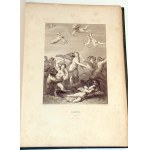 MUZEUM EVROPSKÉHO UMĚNÍ. Druhá řada. ITALSKÁ GALERIE III. díl vydaný v roce 1878
