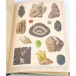 WERMIŃSKI - NATURGESCHICHTE IN BILDERN Botanik und Mineralogie 269 Farbbilder 1893 FOLIO