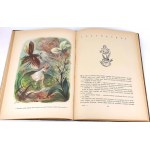 ANDERSEN- BAŚNIE ilustr. SZANCER wyd. 1957r.