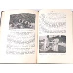 OSTROWSKI- EARTH OF THE HOLY CROSS Brazil 1929 illustr.
