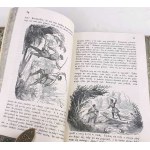 PASEK - PAMIĘTNIK JANA CHRYZOSTOMA NA GOSŁAWICACH PASKA wyd. 1857, drzeworyty