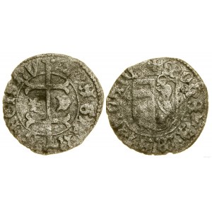Węgry, denar, (1463), Koszyce