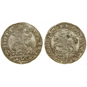Polska, grosz, 1566, Tykocin