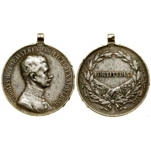 Austria, Medal of Valor (Tapferkeitsmedaille), (since 1917)