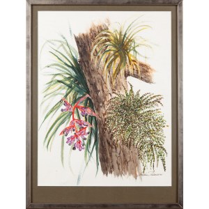 Malíř neuveden (20. století), Kompozice rostlin na stromě
