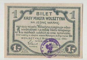 Wolsztyn (Greater Poland) - 1 mark 1919