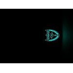 Moët &amp; Chandon, Dom Pérignon Brut Vintage 2012 Luminous