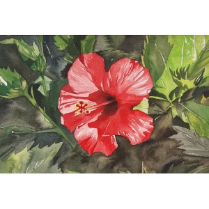 Agnieszka Lenart, Hibiscus II, 2024