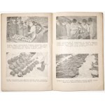 [Katyń] PRAWDA O KATYNIU, 1944 Moskwa [propaganda]