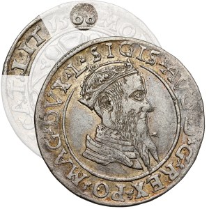 Zygmunt II August, Czworak Wilno 1568 - LIT - b.rzadki