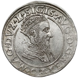 Sigismund II. August, Czworak, Vilnius 1569 – LITV