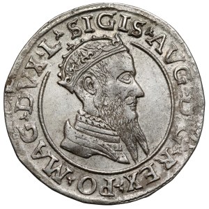 Zygmunt II August, Czworak Wilno 1568 - LITV