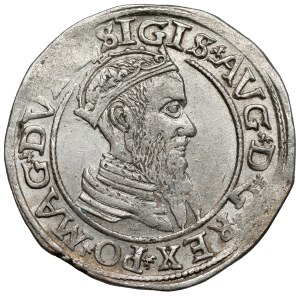 Sigismund II Augustus, Czworak, Vilnius 1566 - LI