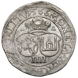 Sigismund II. August, Czworak, Vilnius 1566 – LITV
