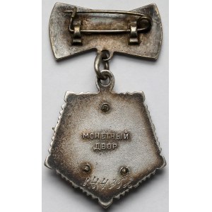 Russia / USSR, Order of the Hero's Mother #144352