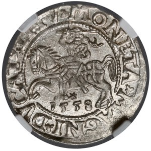 Zygmunt II August, Półgrosz Wilno 1558 - LITV