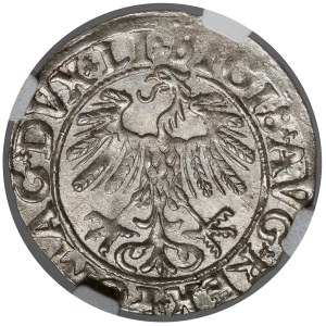 Zygmunt II August, Półgrosz Wilno 1558 - LITV
