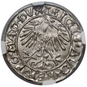 Sigismund II. August, Halbgroschen, Vilnius 1556 – L