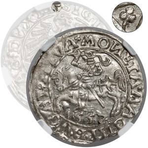 Zygmunt II August, Półgrosz Wilno 1557 - 2x koniczyna