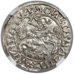 Zygmunt II August, Półgrosz Wilno 1557 - 2x koniczyna