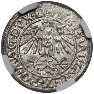Sigismund II. August, Halbgroschen aus Vilnius 1549 – einfach – LI
