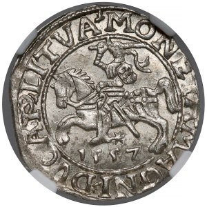 Sigismund II. August, Halbgroschen, Vilnius 1557