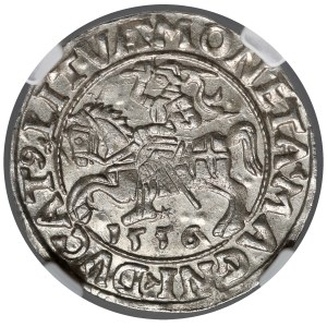 Sigismund II. August, Halbgroschen, Vilnius 1556 – LI